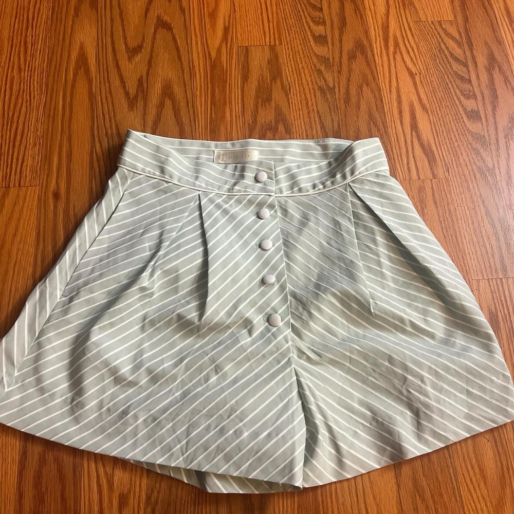 Vita Grace Mint and White Striped Shorts Size Small Women's
